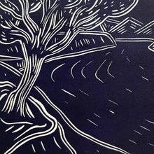 Load image into Gallery viewer, Hetch Hetchy